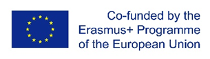 Logo of the European Union. The Visual Disabilities Rehabilitators (VDR) curriculum and the oMERO project are co-funded by the Erasmus+ Programme of the European Union.